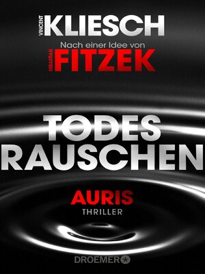 cover image of Todesrauschen